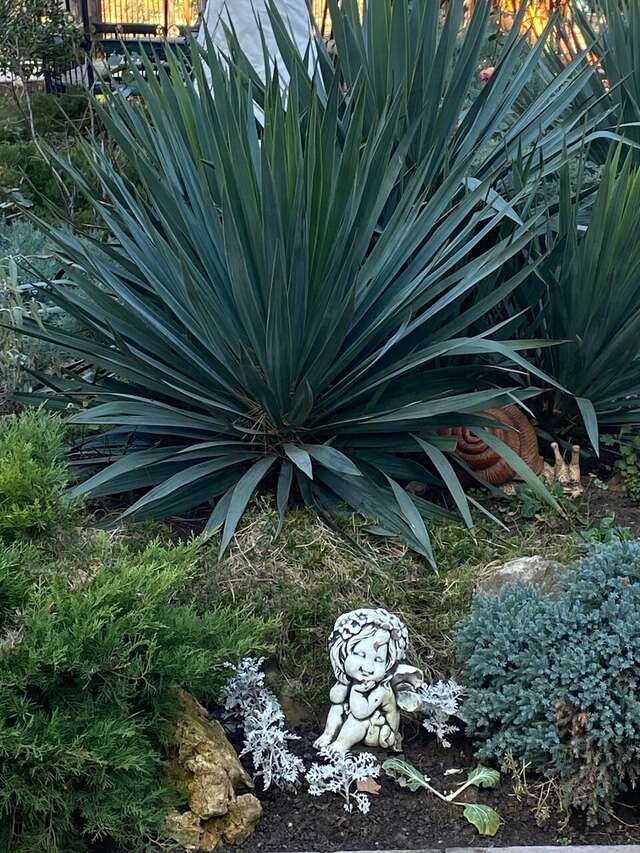 Гостиница Даяна Симферополь-143